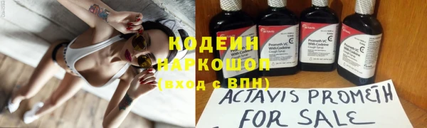 хмурый Богородск