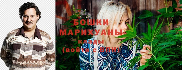 шишки Беломорск