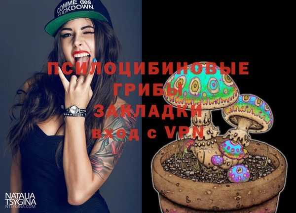 экстази Богородицк